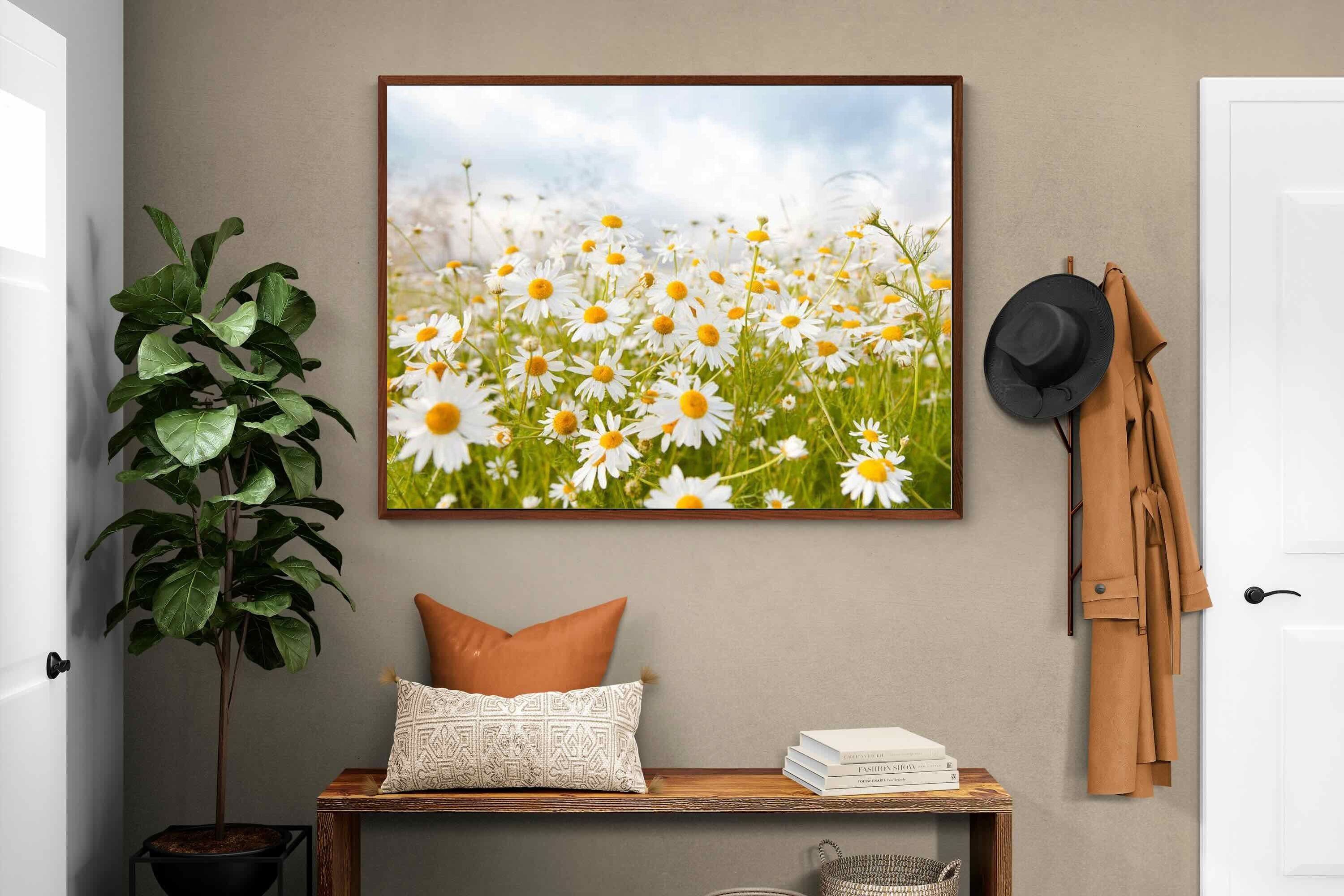 Pixalot ® Daisies