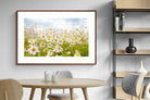 Pixalot ® Daisies