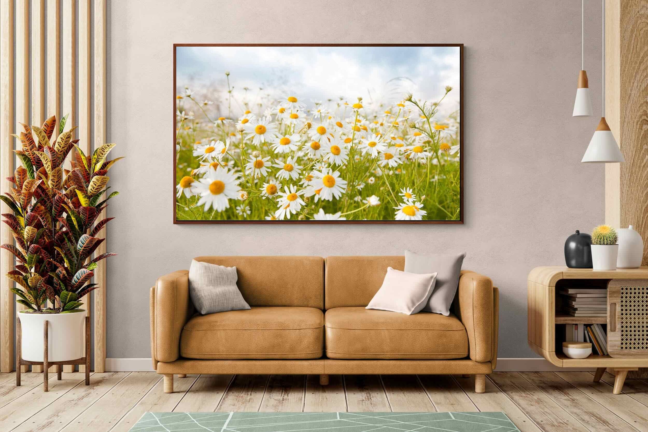 Pixalot ® Daisies