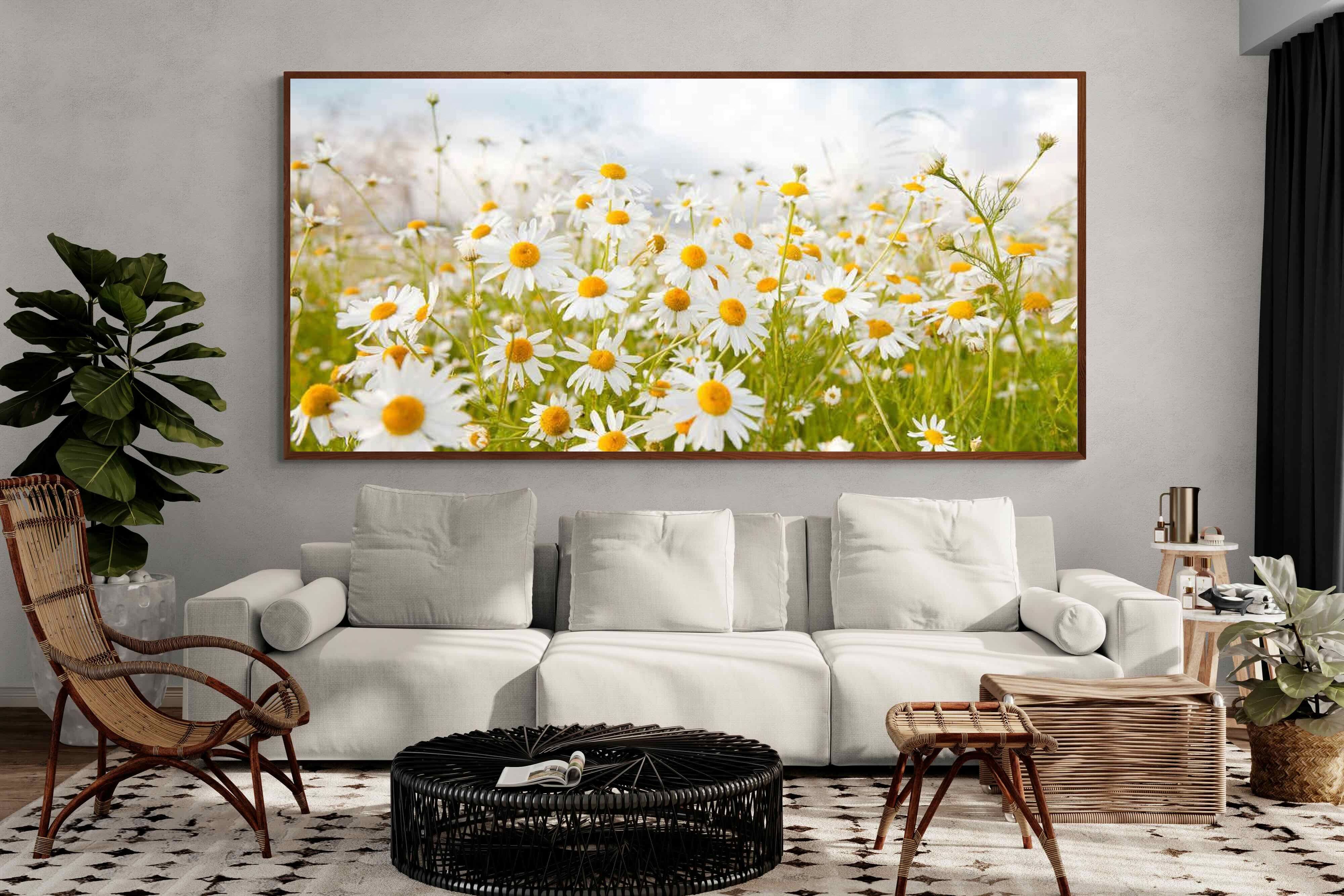 Pixalot ® Daisies