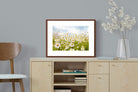 Pixalot ® Daisies