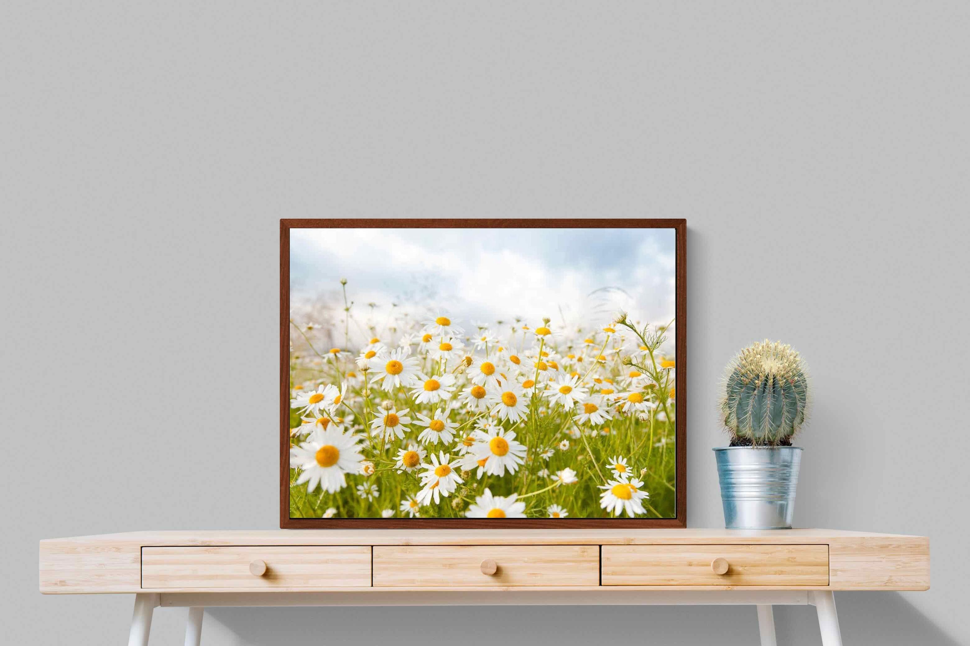 Pixalot ® Daisies
