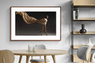 Pixalot ® Dancing in the Dark