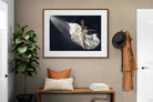 Pixalot ® Dancing in the Spotlight
