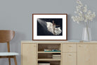 Pixalot ® Dancing in the Spotlight
