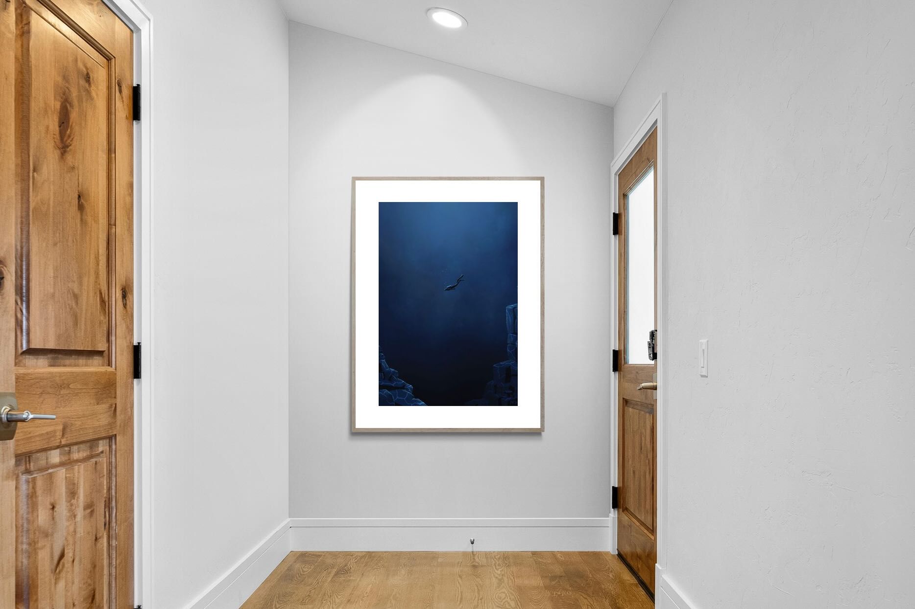 Pixalot ® Diver