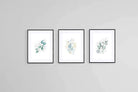 Delicate Blue Set-Wall_Art-60 x 80cm (x3)-Framed Print-Black-Pixalot