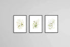 Delicate Green Set-Wall_Art-45 x 60cm (x3)-Mounted Canvas-Black-Pixalot