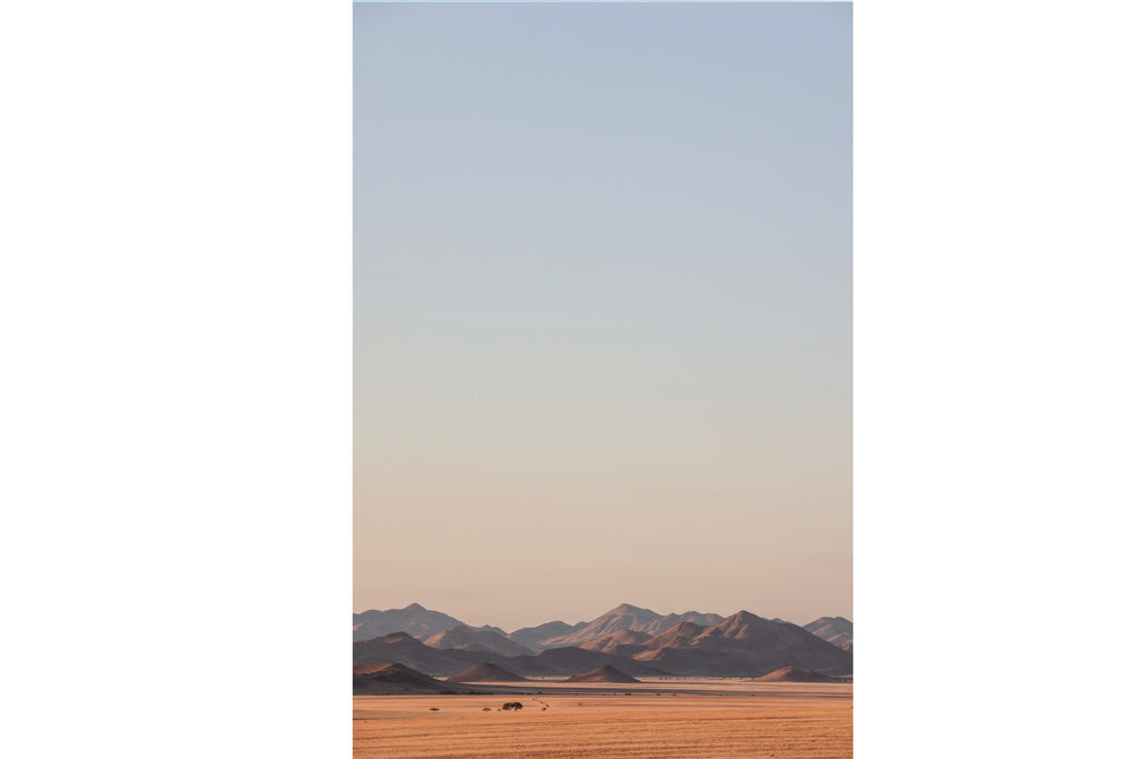Desert Hues