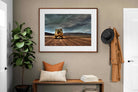 Pixalot ® Desert Road Defender
