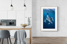 Pixalot ® Diving Dolphins