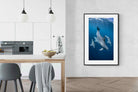 Pixalot ® Diving Dolphins