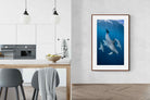 Pixalot ® Diving Dolphins