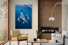 Pixalot ® Diving Dolphins