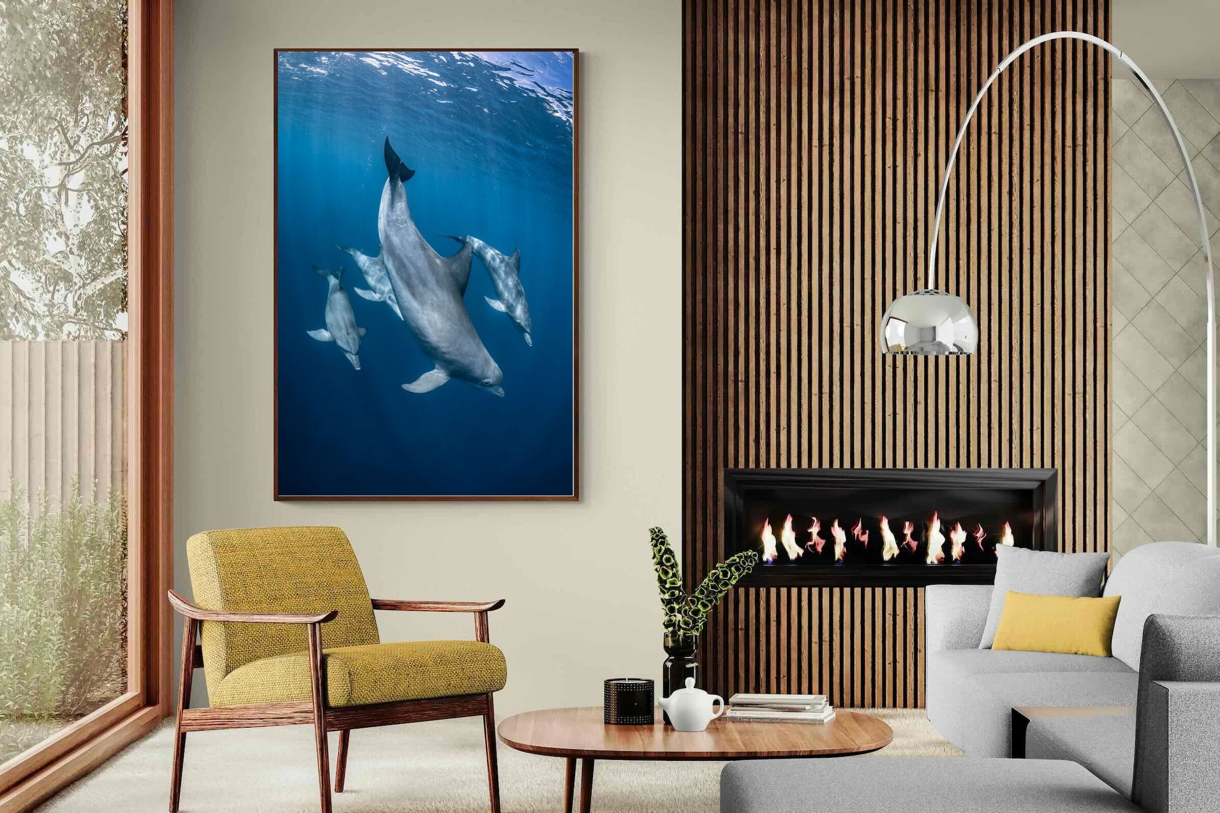 Pixalot ® Diving Dolphins