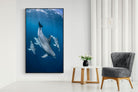 Pixalot ® Diving Dolphins
