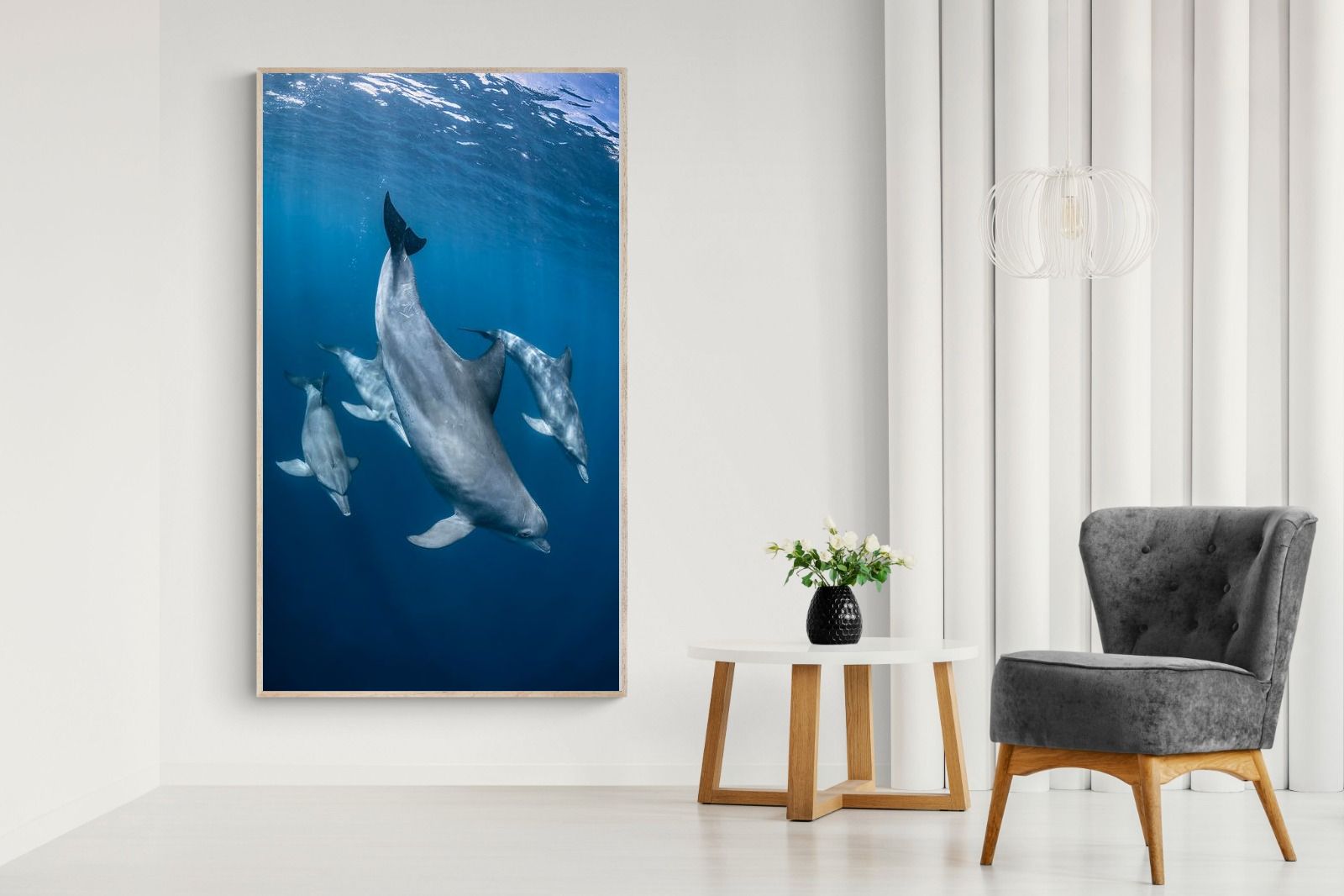 Pixalot ® Diving Dolphins