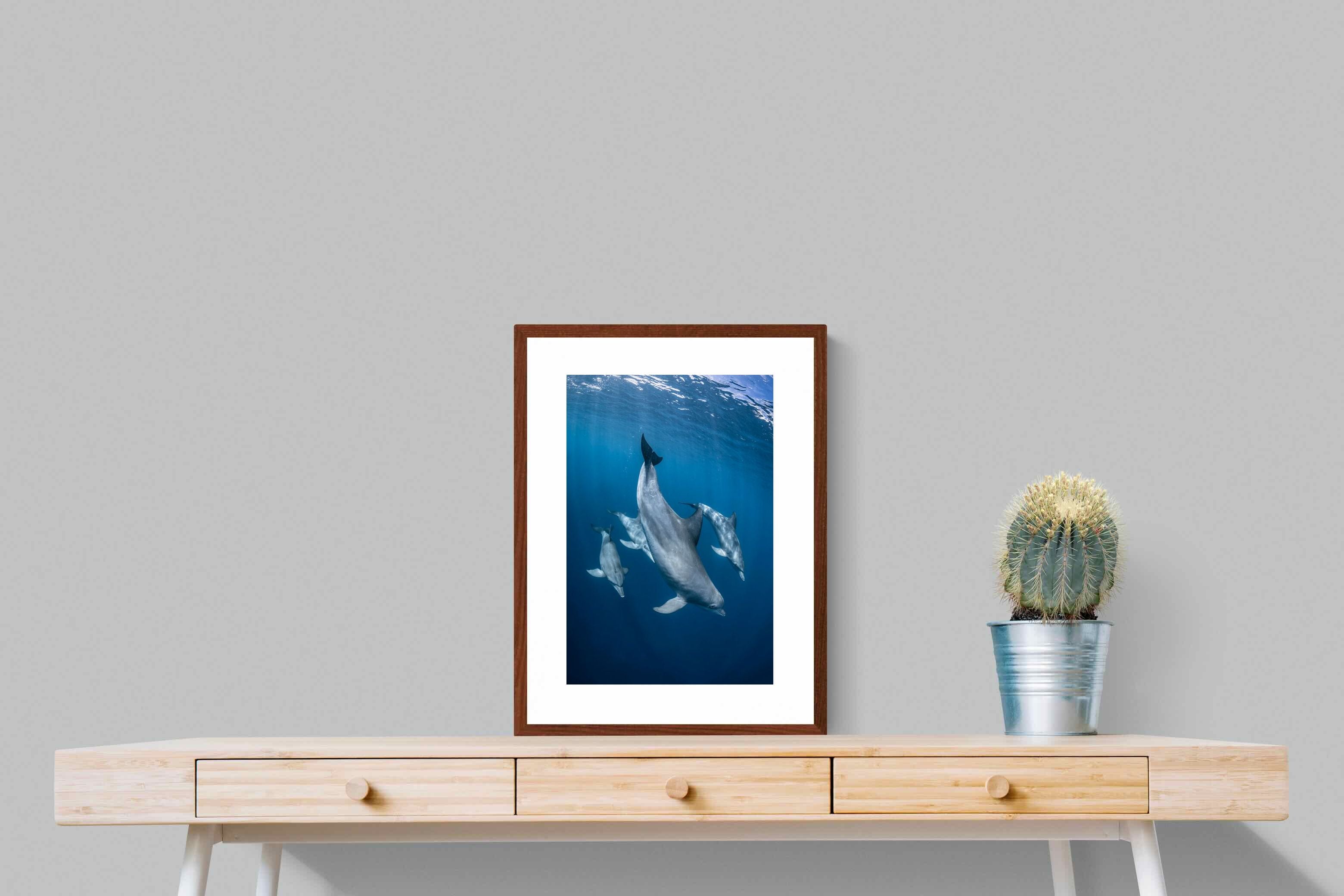 Pixalot ® Diving Dolphins