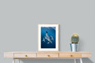 Pixalot ® Diving Dolphins