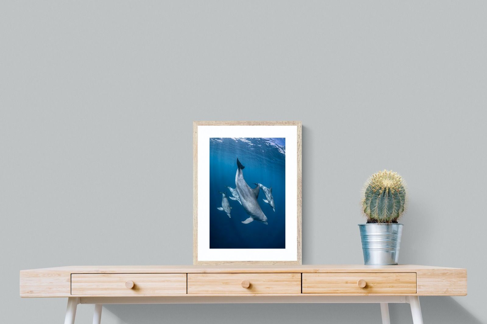 Pixalot ® Diving Dolphins
