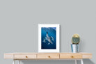 Pixalot ® Diving Dolphins