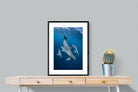 Pixalot ® Diving Dolphins