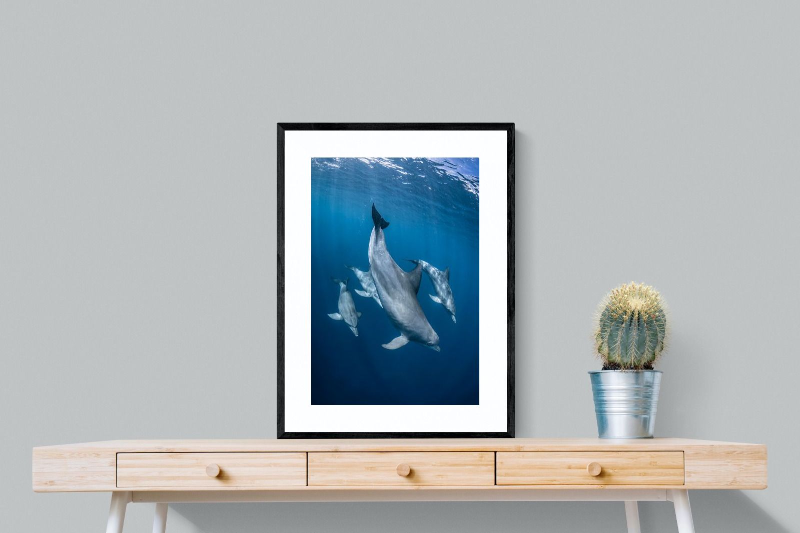 Pixalot ® Diving Dolphins