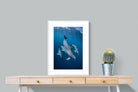 Pixalot ® Diving Dolphins