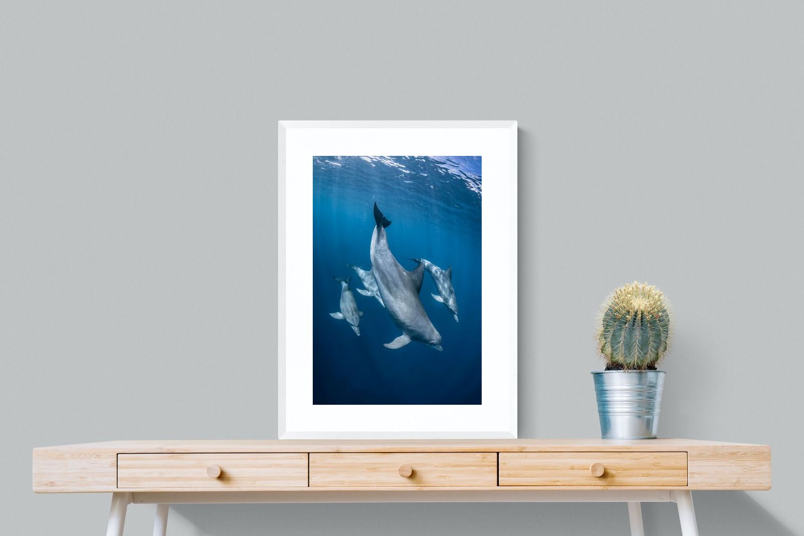 Pixalot ® Diving Dolphins