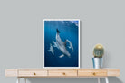 Pixalot ® Diving Dolphins