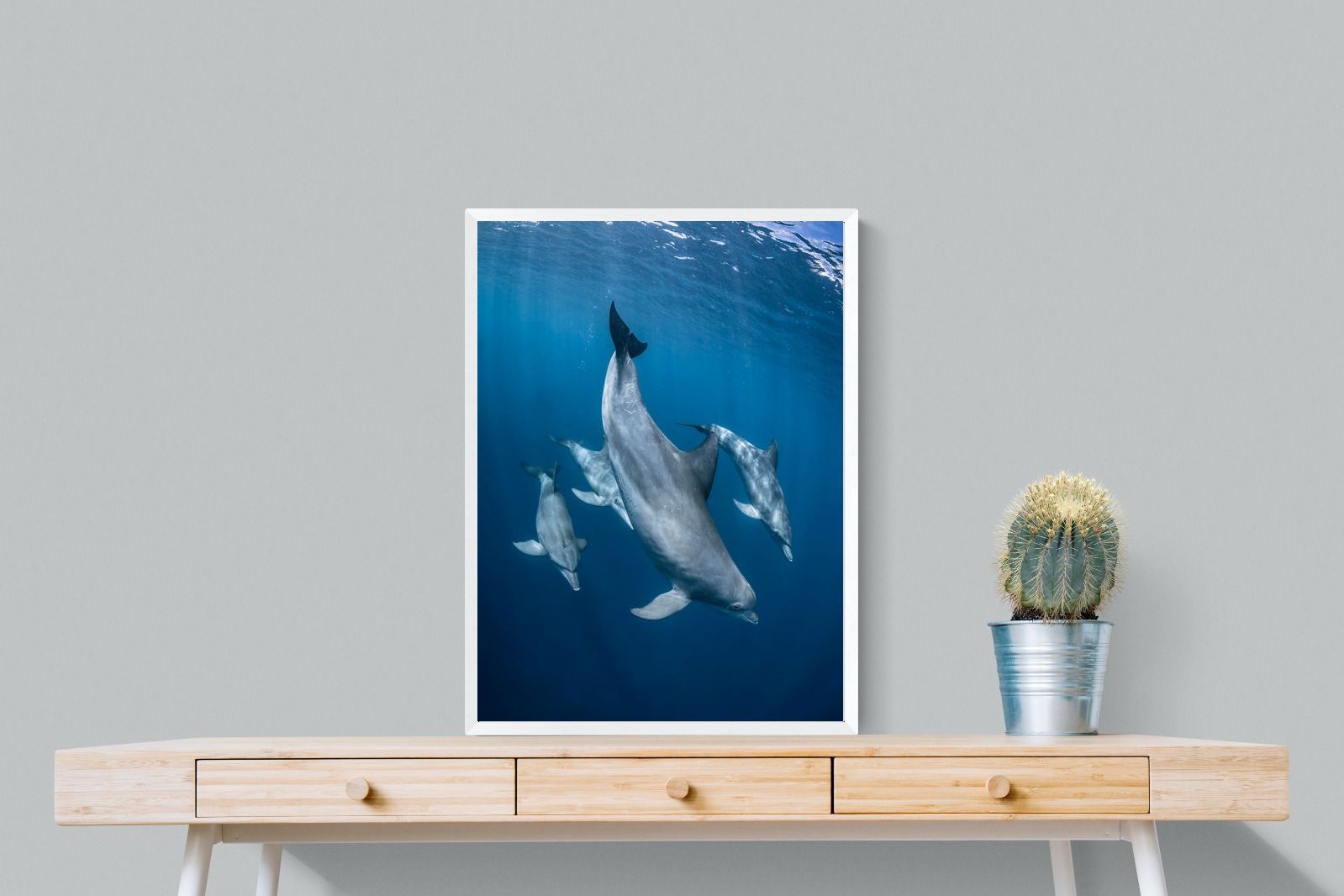 Pixalot ® Diving Dolphins