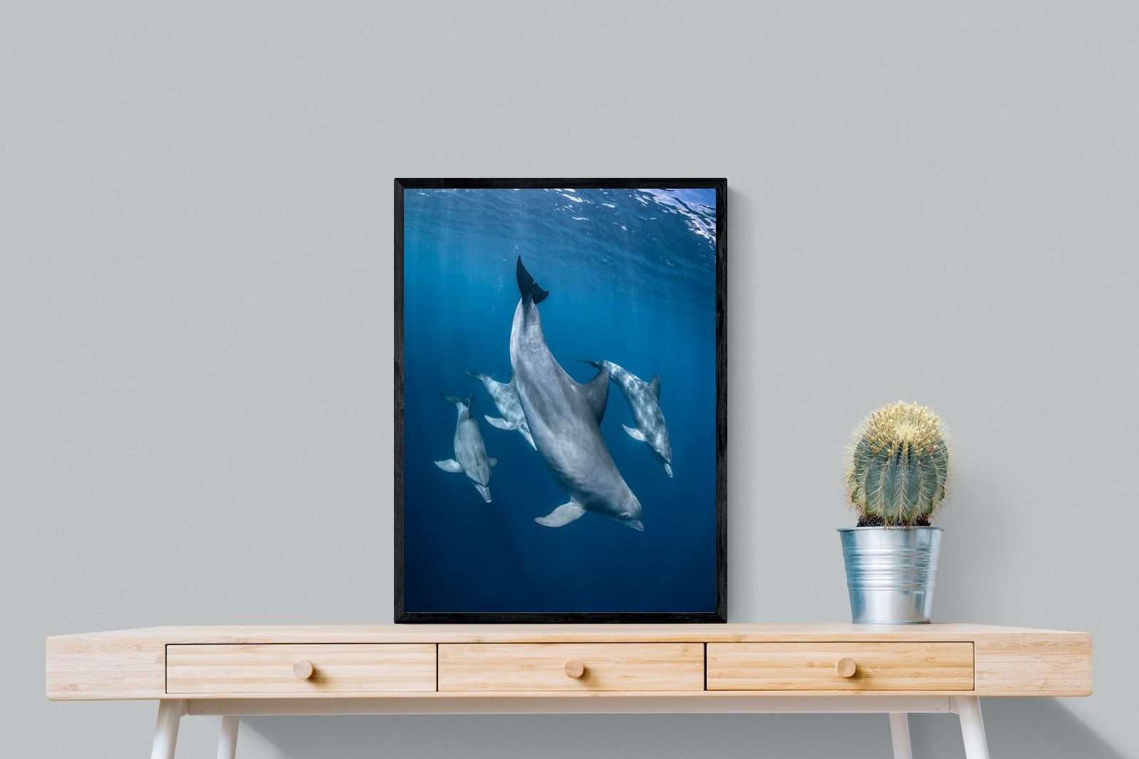 Pixalot ® Diving Dolphins