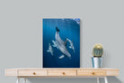 Pixalot ® Diving Dolphins