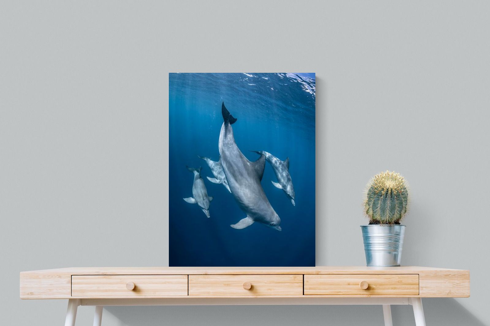 Pixalot ® Diving Dolphins