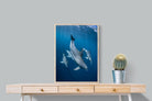 Pixalot ® Diving Dolphins