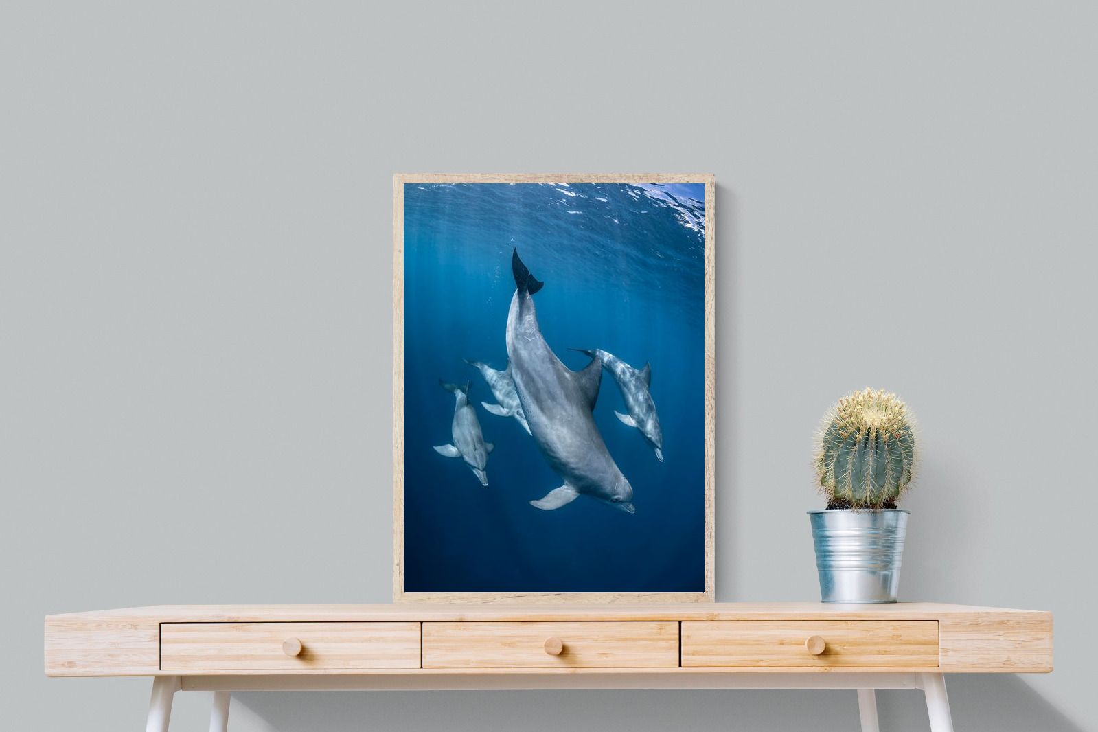 Pixalot ® Diving Dolphins