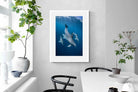 Pixalot ® Diving Dolphins