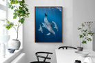 Pixalot ® Diving Dolphins