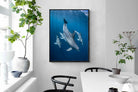 Pixalot ® Diving Dolphins