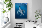 Pixalot ® Diving Dolphins