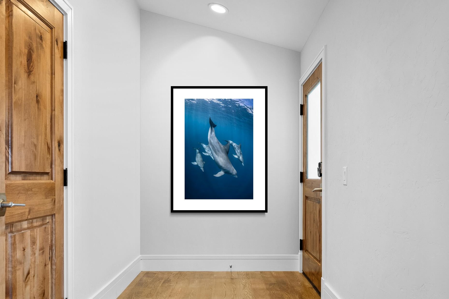 Pixalot ® Diving Dolphins