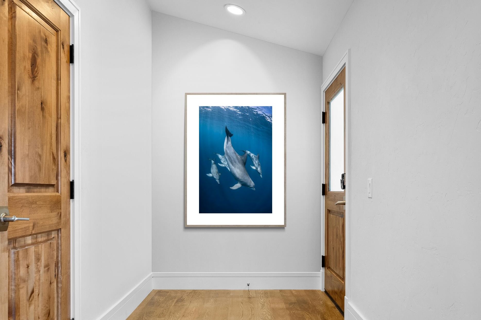 Pixalot ® Diving Dolphins