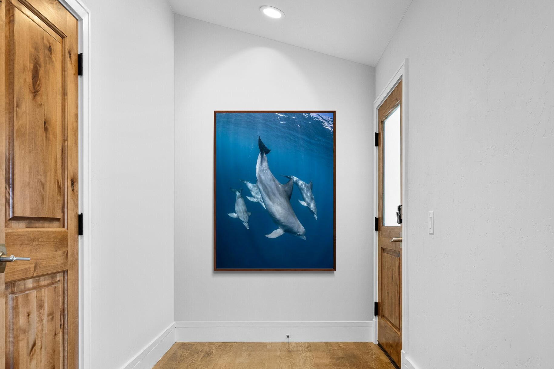 Pixalot ® Diving Dolphins
