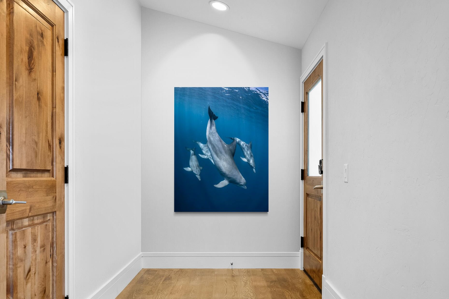 Pixalot ® Diving Dolphins