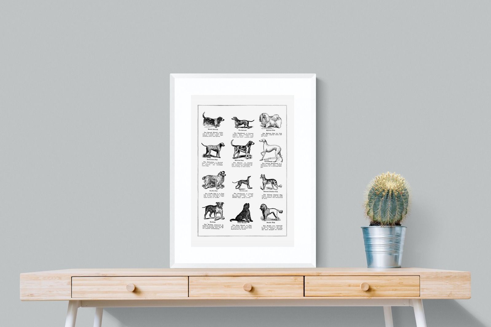 Pixalot Dog Breeds