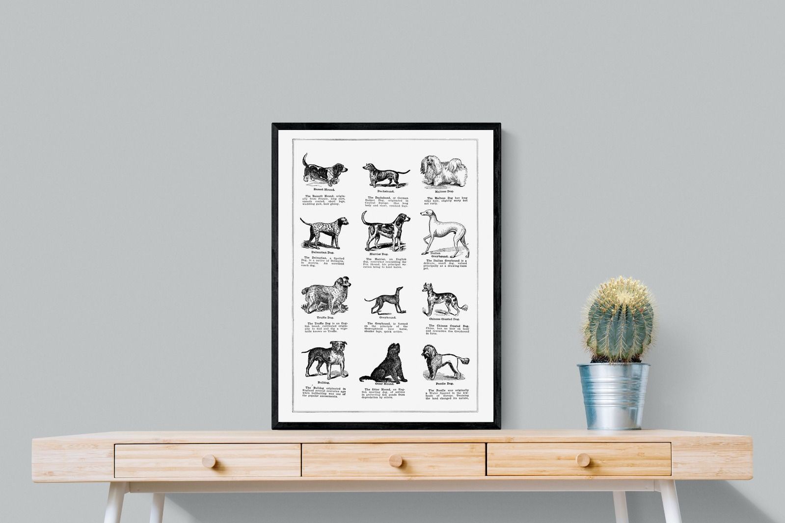 Pixalot Dog Breeds