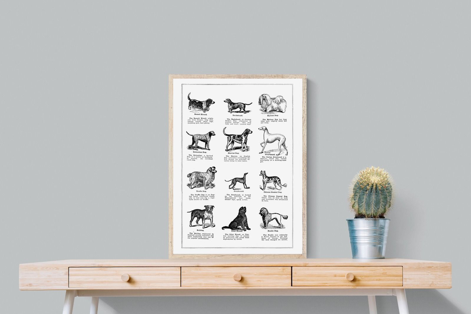 Pixalot Dog Breeds
