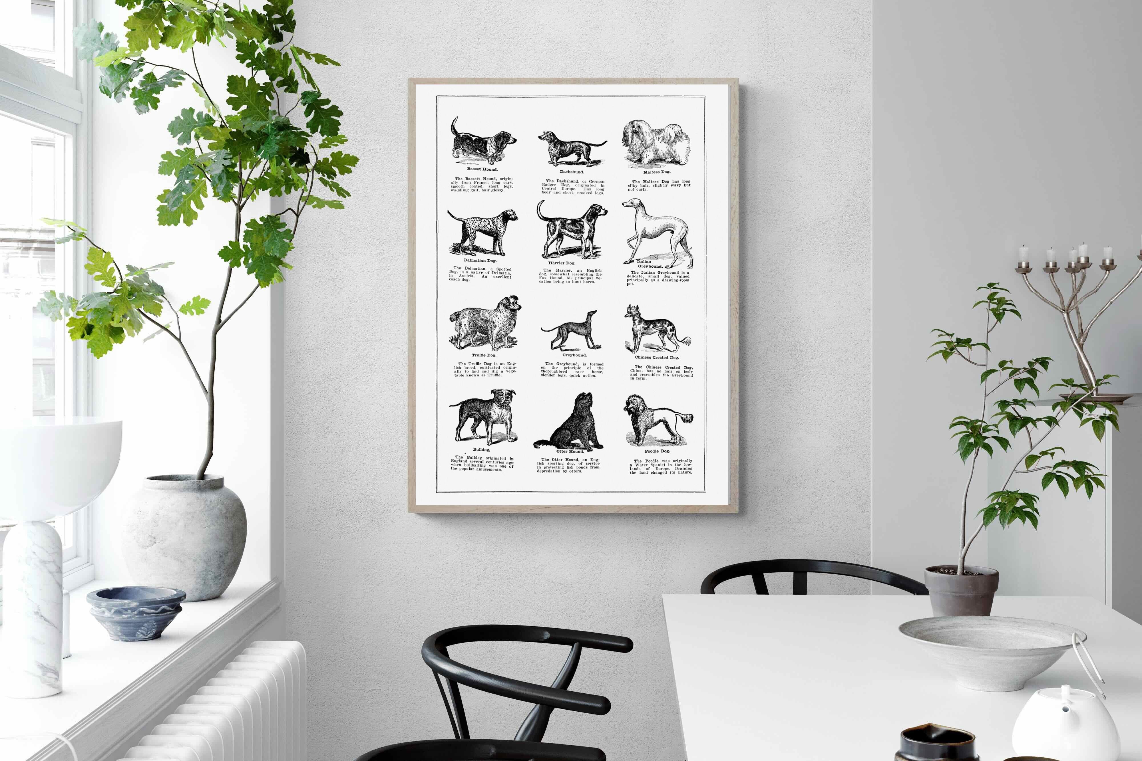 Pixalot Dog Breeds