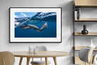 Pixalot Dolphin Trio