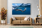 Pixalot Dolphin Trio